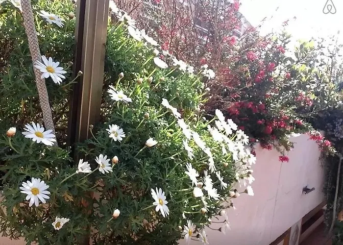 Highgarden * רומא